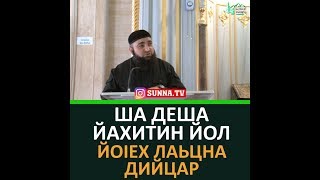 ША ДЕША ЙАХИТИН ЙОЛ ЙОIЕХ ЛАЬЦНА ДИЙЦАР ХЬЕХАМ