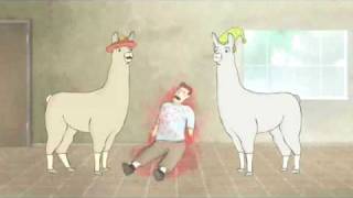 Lamas mit Hüten (Vorarlberger Edition)