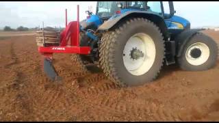 AGROMORAL. SUBSOLADO CON UN REJON Y AUTOGUIADO GPS