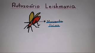 LEISHMANIOSE VISCERAL CANINA - RESUMO