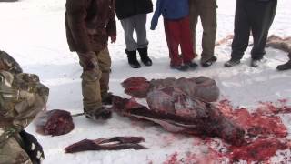 Caribou Skinning by Raymond Paneak, Anaktuvuk Pass, Alaska