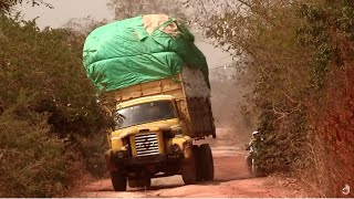 Deadliest Journeys - Benin: Cotton At All Costs