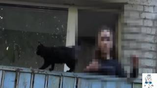 Друзья живодёра из Владимира: "Он не раскаивается в убийстве котёнка"