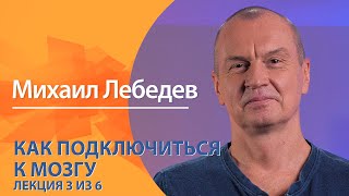 Как подключиться к мозгу. Михаил Лебедев. Лекция 3 из 6