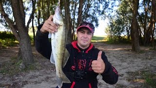 Основные принципы ночной ловли судака. Судак на джиг