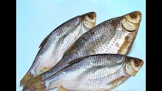 27. Сушка плотвы и леща в сушилке для фруктов