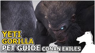 YETI, GORILLA | Pets guide | CONAN EXILES