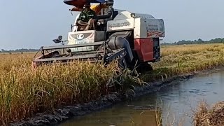 Máy cắt lúa #41 Kubota DC70 cắt lúa vuông nguy hiểm máy gặt liên hợp