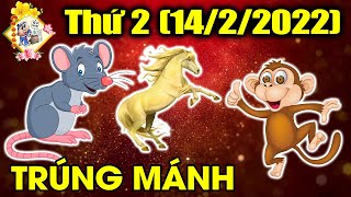 Tu Vi Hang Ngay, 3 Con Giáp Được Thần Phật Chiếu Cố, Xóa Sạch Tai Ương, Tiền Tài Bát Ngát