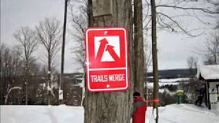 Punk Rock Ski Trip