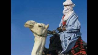 tinariwen-le chant des fauves