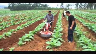 Nichino 日農牌 Power tiller / Cultivator / Hand tractor 中耕管理機 (850S)-4