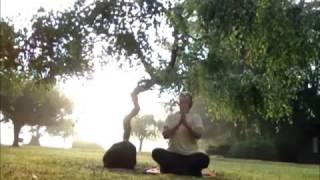 Qigong Self Massage Ling Gui Version