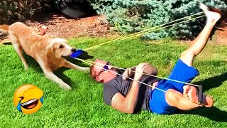 Best Funny Animal Videos 2022 - Funniest Cats And Dogs Videos