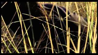 La onzieme heure film complet
