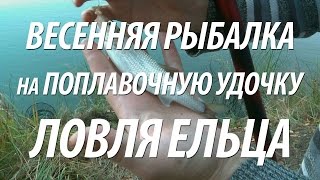 РЫБАЛКА ВЕСНОЙ НА ЕЛЬЦА ПОПЛАВОЧНОЙ СНАСТЬЮ