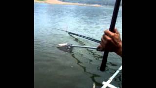 mancing badot jatiluhur