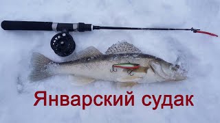 СУДАК В ЯНВАРЕ, НА  РАТЛИН! РЫБАЛКА 2020