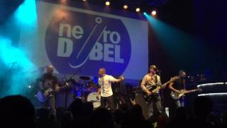 Neuro Dubel - Ольга Сергеевна. RePublic 22/10/2016г.
