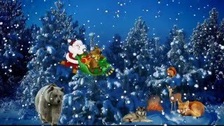 ФУТАЖ-ДЕД МОРОЗ И ЛЕСНЫЕ ЖИТЕЛИ