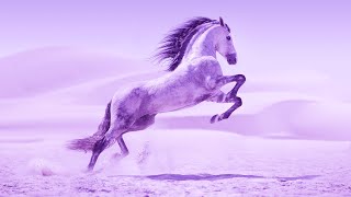 Music For Positive Energy Healing | Meditation Music 528Hz | Self Healing Frequency | Zen Music