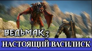 Ведьмак 3. Самый настоящий василиск (все варианты). Оксенфурт