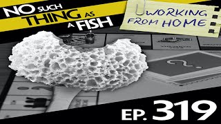 NSTAAF #319 - No Such Thing As 19th Century Feudal Japanese Monopoly