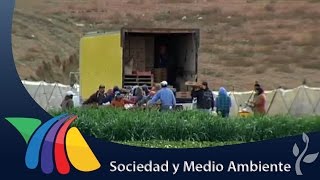 Explotación de jornaleros en San Quintín | Noticias de Baja California