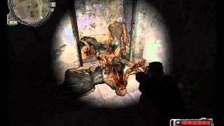 s.t.a.l.k.e.r. golie i smeshnii