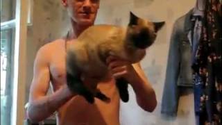 Cat Machine Gun