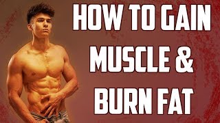 THE BASICS: HOW TO GAIN MUSCLE & LOSE FAT