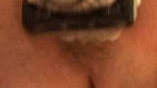 Shave Pussy ?