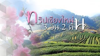 เที่ยวดอยอ่างขาง - ตัวเมืองเชียงใหม่ 3 วัน 2 คืน กุมภาพันธ์ 2018