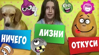 Откуси, Лизни или Ничего челлендж со Скрепышами от Лизы и собаки Тафи