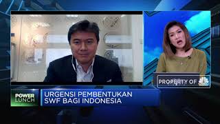 Fauzi Ichsan: Jika Dikelola Baik, SWF Bisa Jadi Peluang Bagi BUMN