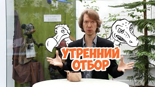 Выкопали пещерного медведя. Пещерного? Ярослав Попов.