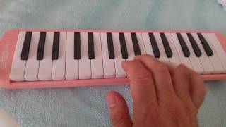 Dünyanın en zor söylenen şarkısını melodika ile çaldım