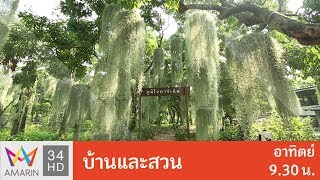 บ้านและสวน : ช่วงสวน "ภูมิใจการ์เด้น" วันที่ 4 มี.ค. 61 (3/4)