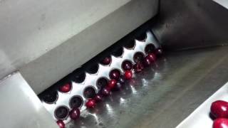 cherry pitter