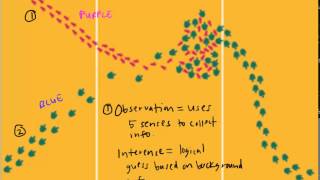 Observation vs  Inference