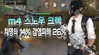 라이프애프터 m4 스노우로 상단 물자 운송 - 흑백게임