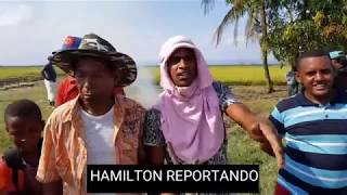 Dos atracadores la comunidad de cabuya la Vega