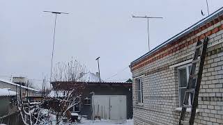 24.03.18г.Голубятник обязан соблюдать КОДЕКС ГОЛУБЕВОДА!