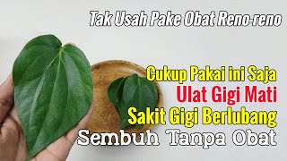 CUKUP 1 BAHAN SAJA, SAKIT GIGI MENAHUN ATAU SAKIT GIGI BERLUBANG SEMBUH SECARA ALAMI