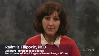 UConn Intraoperative Neuromonitoring Graduate Program