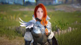 Одежда рыцарей Дельпе (Delphe Knights Costume) Black Desert Online