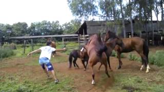 JACIZIM PASSANDO APERTO COM CAVALO