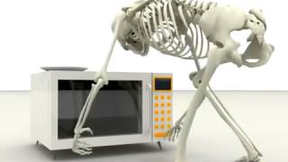 Прикол Мультик Скелет и Микроволновка | Funny Cartoon Skeleton and Microwave