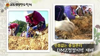 V8. 2D 모션그래픽(2017)
