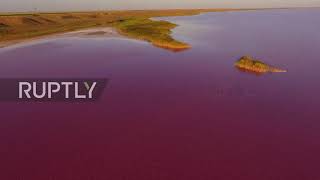 Pink paradise: See Ukraine's stunning Lake Lemuria